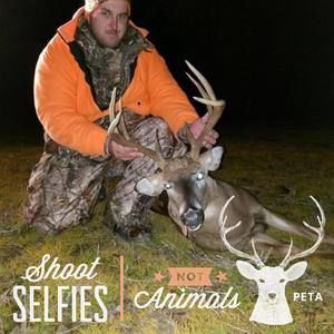 Meet your Posher, Dillon